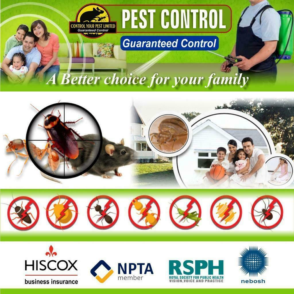 Pest Control 100 Guaranteed Rat Mice Bedbugs Cockroaches Ants Wasps