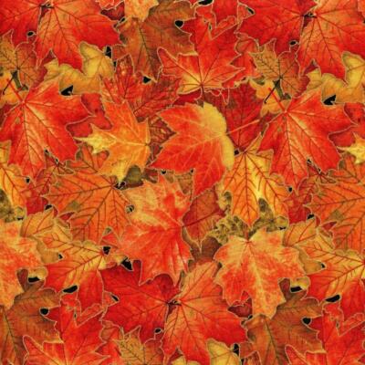 Metallic Fall Leaves Harvest Time Multi Sew Fabric ELIZABETH'S STUDIO