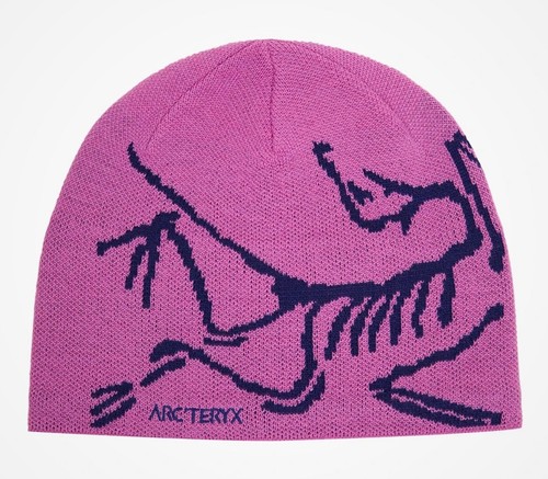 ARC’TERYX Bird Head Toque Beanie Pasted-20250213-
