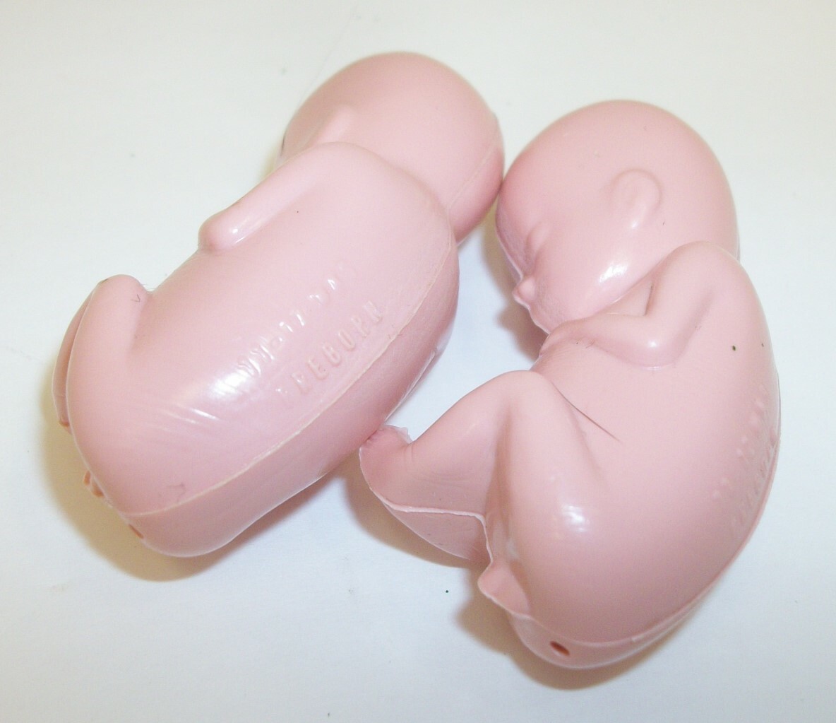 Hard Plastic Fetus Preborn Baby Model - Educational Aid - Lot 2