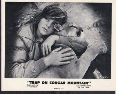 Erik Larsen hugging Cougar in Trap on Cougar Mountain 1972 movie photo 46890