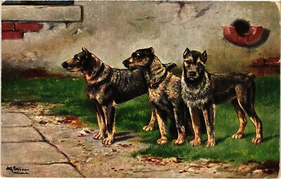 CPA AK Three Cute Dogs DOGS (1388266)