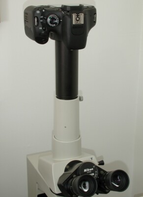 Nikon Microscope DSLR Camera Adapter for Canon, Nikon, Sony Cameras