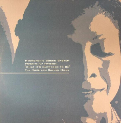 Hydroponic Sound System presents Pat Peterson - What It's Supposed To Be - Icon
