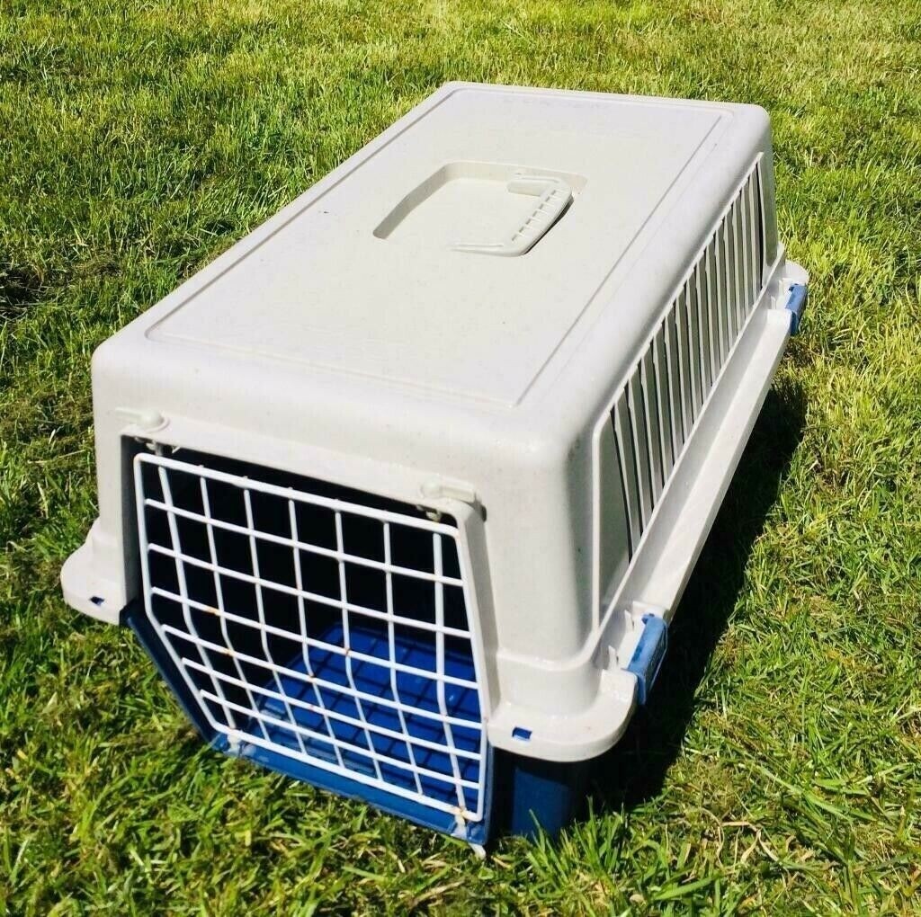 Large Cat Carrier in Bournemouth, Dorset Gumtree