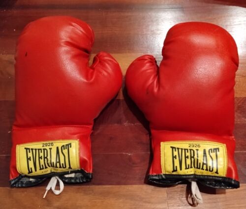 meer en meer personeel Makkelijk te begrijpen EVERLAST 2926 RED Boxing Training Gloves Pair of Lace-Up, 14 Ounces Made In  USA | eBay