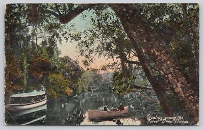 Postcard Boating Among The Forest Trees Florida c.1912 Postmarked Miami