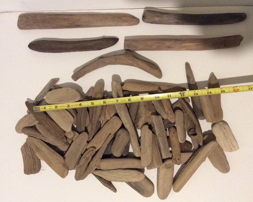 65 Pcs Surf Tumbled Cleaned Driftwood Crafts Terrariums Wood Projects Reptiles