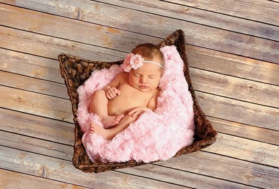 Ella Bella Photography Backdrop Paper, Vintage Wood, 48