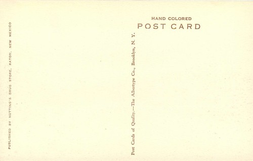 New Mexico, NM, Raton, Street Scene Albertype Co 1910's Postcard 