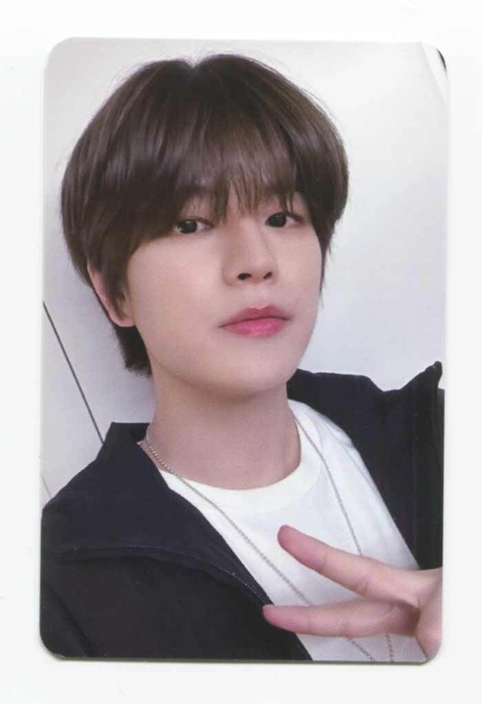 straykids 樂-star everline コンプ StrayKids スキズ 樂-STAR EVERLINE トレカ コンプセット｜Yahoo