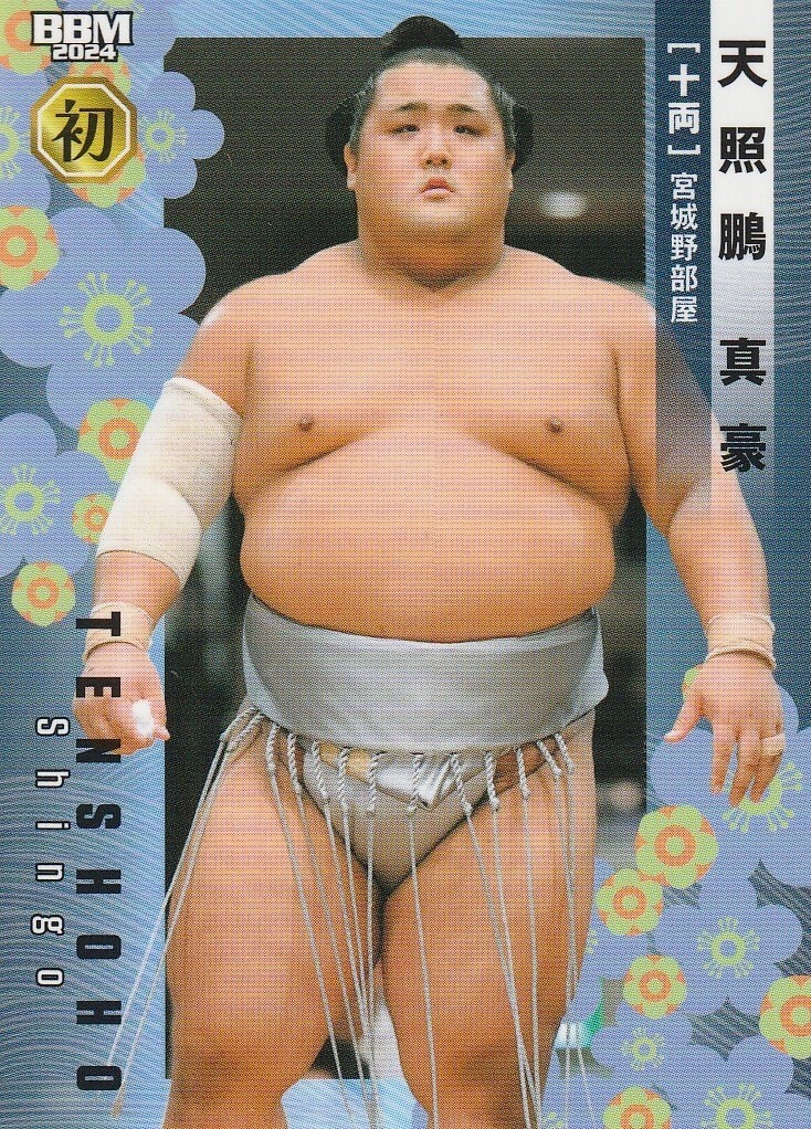 Beats - sumomo様 BBM Sumo Wrestling Card Genki Daimami Dragon 2024 Japan