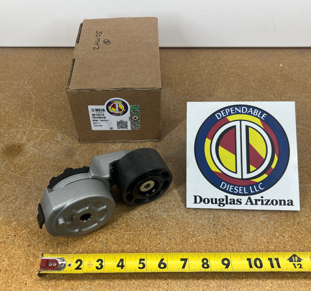 【AVCATION×THENIME】ベルト 555919_x800.jpg