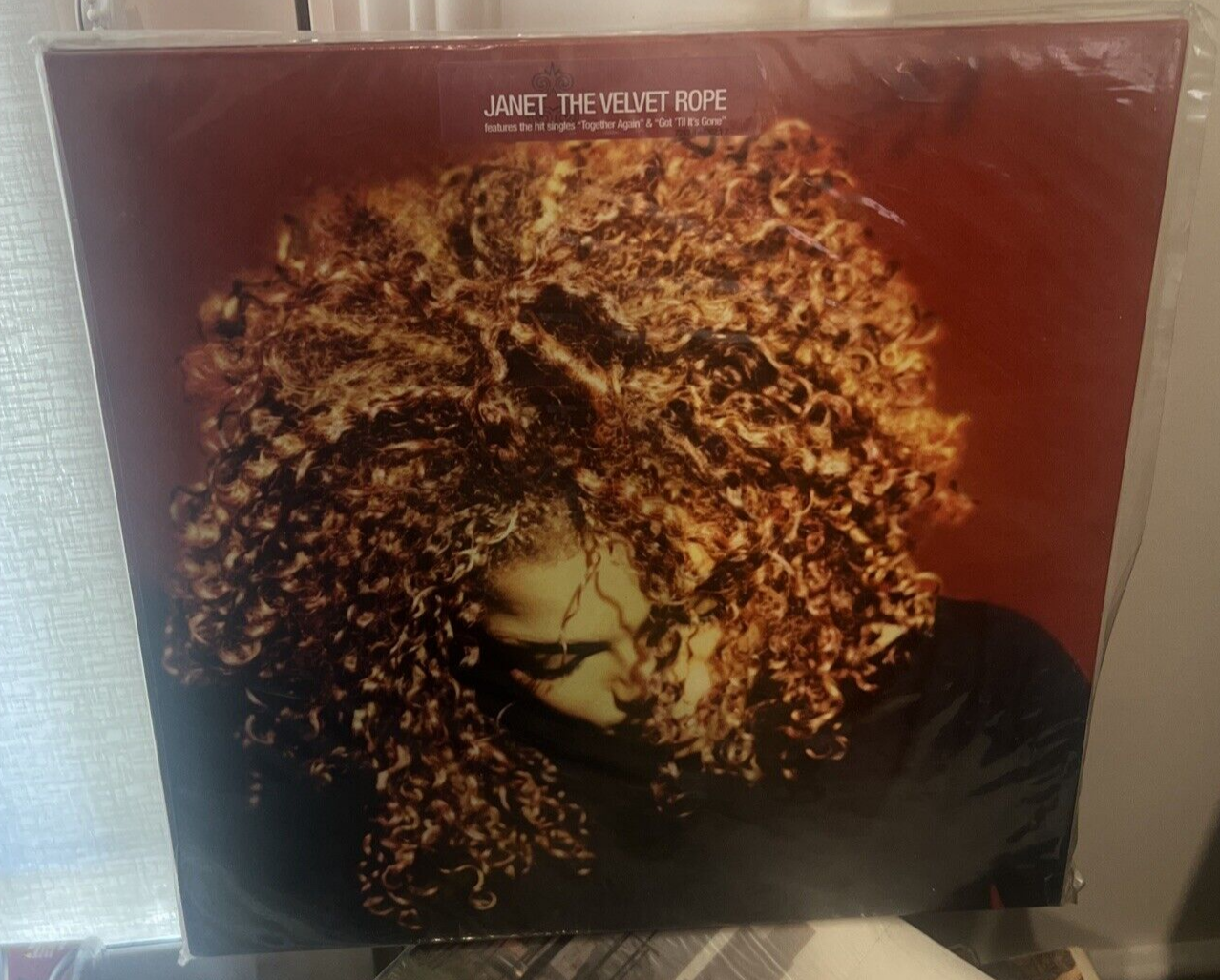 洋楽 janet Jackson/the velvet rope LP Velvet Rope - The Sound of Vinyl