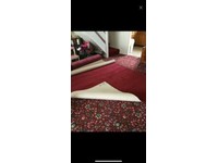 How To Take Care Of Your Carpet My Decorative