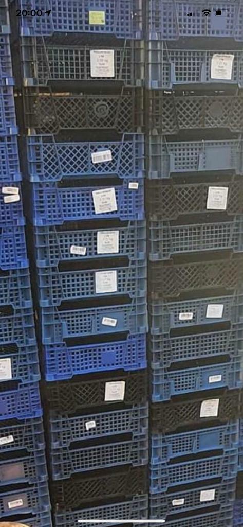 Used plastic mushroom crates | in Ashford, Kent | Gumtree