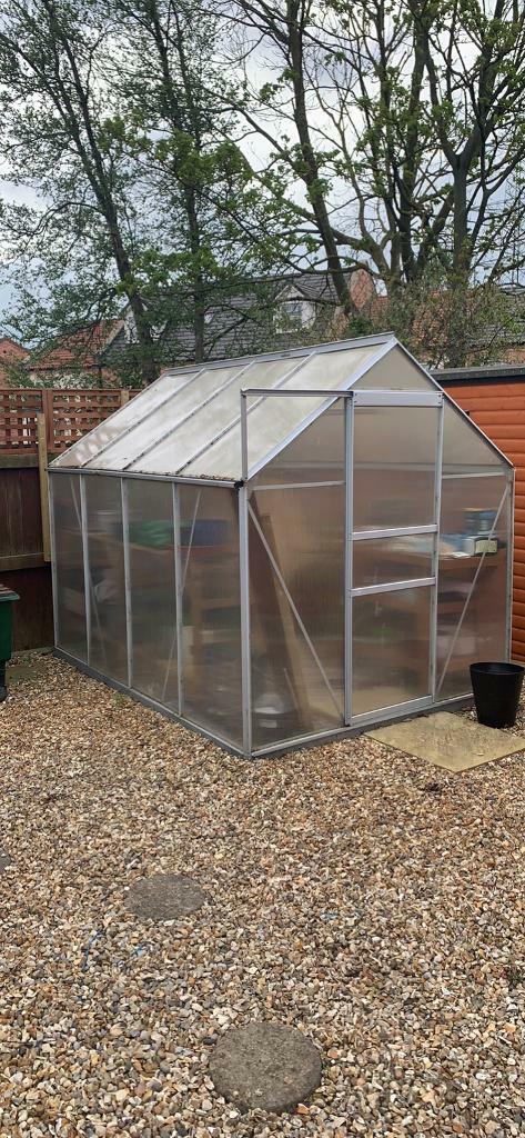 Greenhouse with plastic panels | in Eaglescliffe, County Durham | Gumtree
