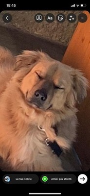 Foto dell'oggetto di un acquirente verificato