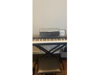 Casio Digital Piano For Sale Pianos Gumtree