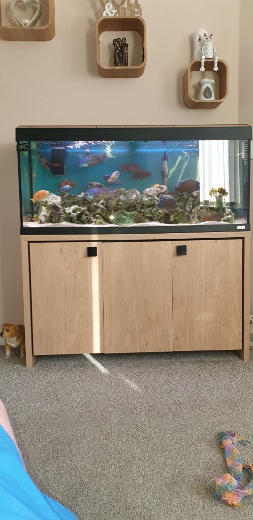  4ft  aquarium  in Dudley West Midlands Gumtree