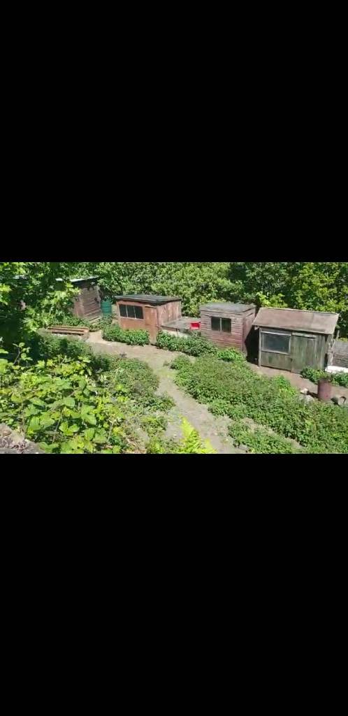 Chicken Housescoops For Sale Ebay