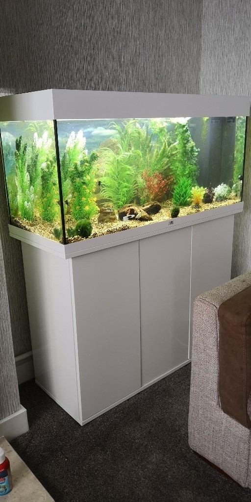 Hei! 43+ Vanlige fakta om Juwel Rio 180? The juwel rio aquarium sets