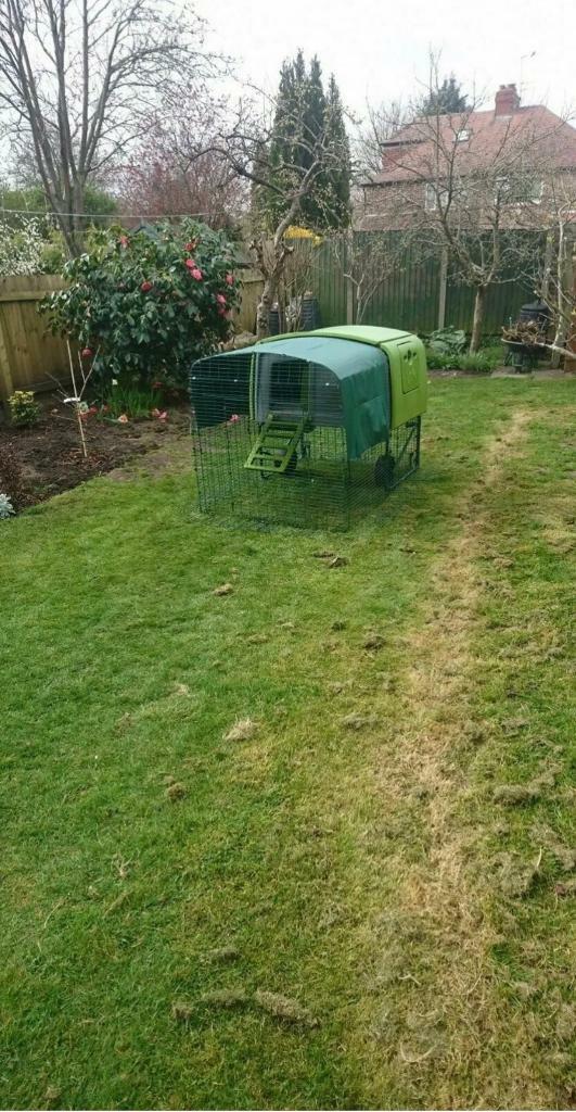 Omlet eglu cube, 2m run, 21m fencing and accessories in Widnes