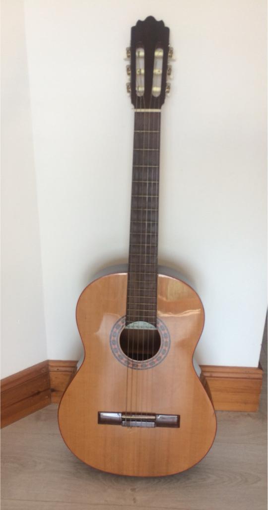 mizuno guitar
