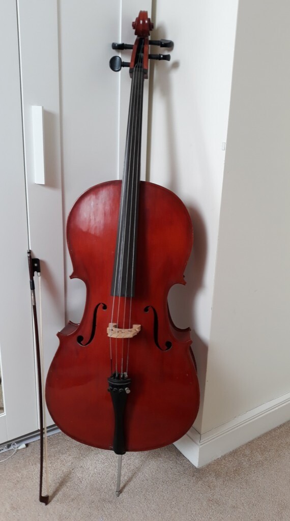 Cello, Stentor fullsize 4/4. Very good condition. in Hove, East