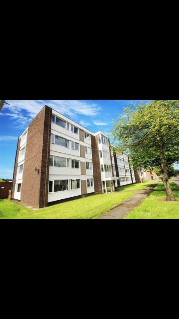 1 bed flat in palmersville in Newcastle, Tyne and Wear Gumtree