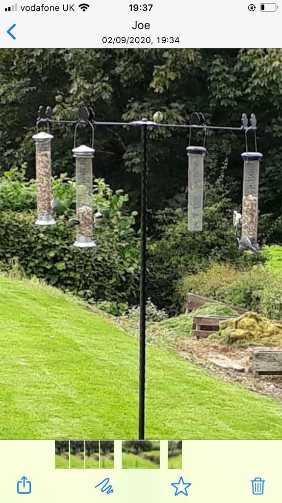 Ornamental Wrought Iron Bird Feeders in Dungannon, County Tyrone