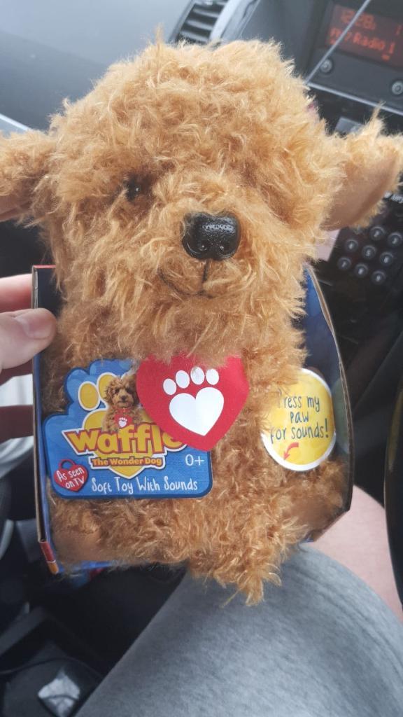 smyths waffle doggy
