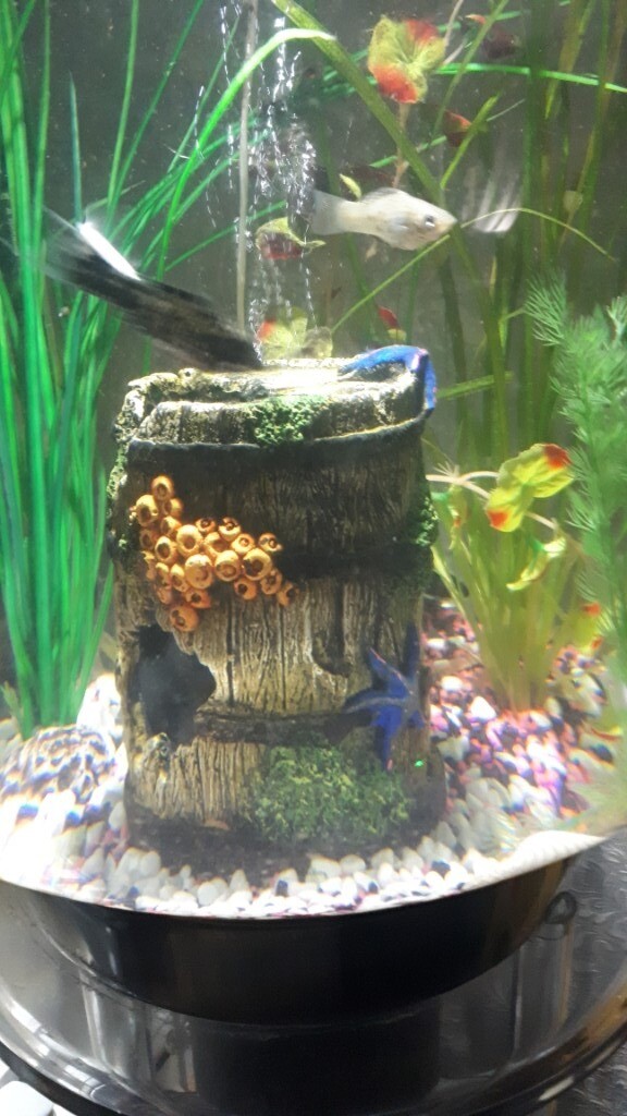 Bi orb 80 litre fish tank in Liverpool, Merseyside Gumtree
