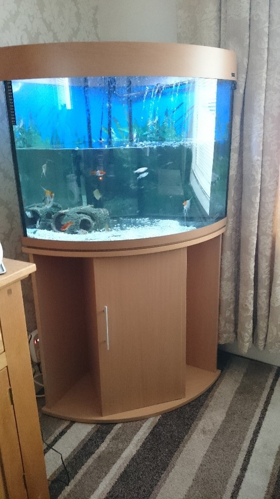 Aqua one 150 L corner Fish tank in Bridgend Gumtree