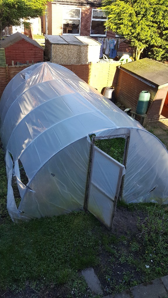 garden shed in irvine, north ayrshire gumtree