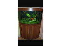 Juwel trigon 190 dark marine tropical fish tank aquarium (delivery ins