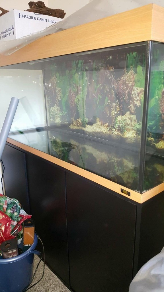 4ft jewel tank brand new aquarium full setup in East End, Glasgow