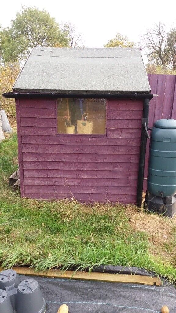 Allotment shed 6ftx4ft buyer collects in Broughton 