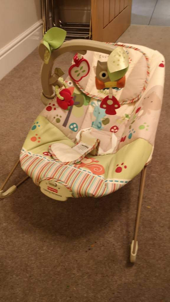 Fisher price calming vibrations baby bouncer seat in Lenzie, Glasgow