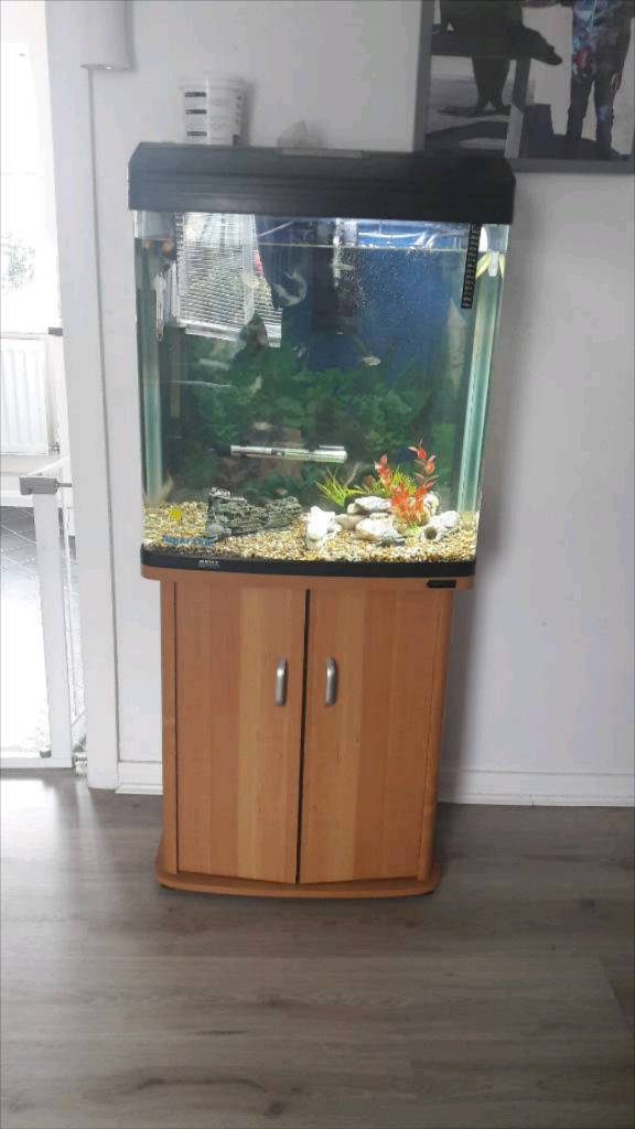 REDUCED!! Aqua One 620t fish tank and stand in Seaham, County Durham Gumtree