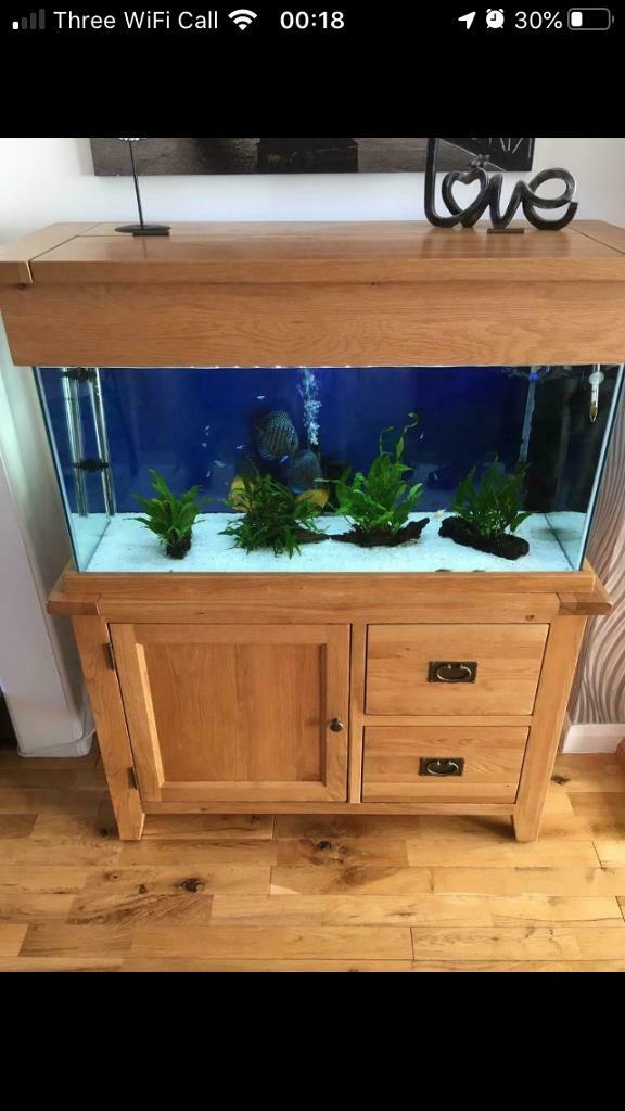 Oak fish tank in Falkirk Gumtree