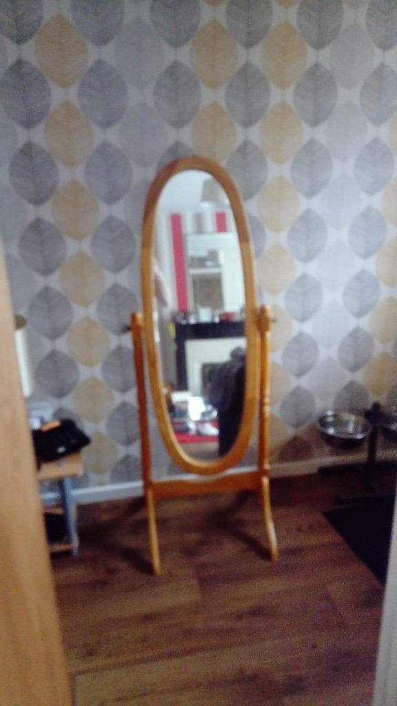 Tall mirror in County Antrim Gumtree