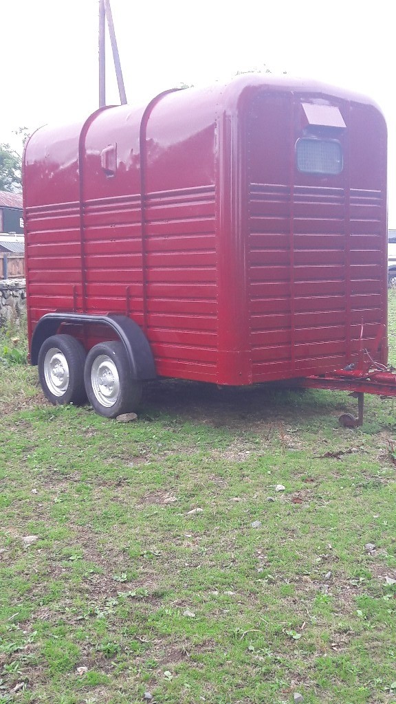 Rice double horse box in Newry, County Down Gumtree