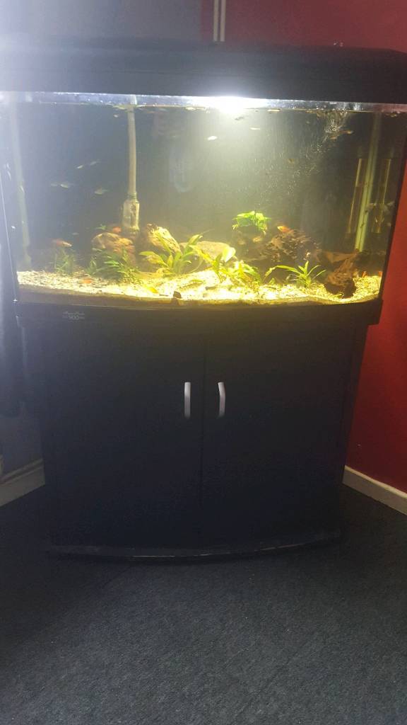 3 foot fish tank with and everything included in Gosport