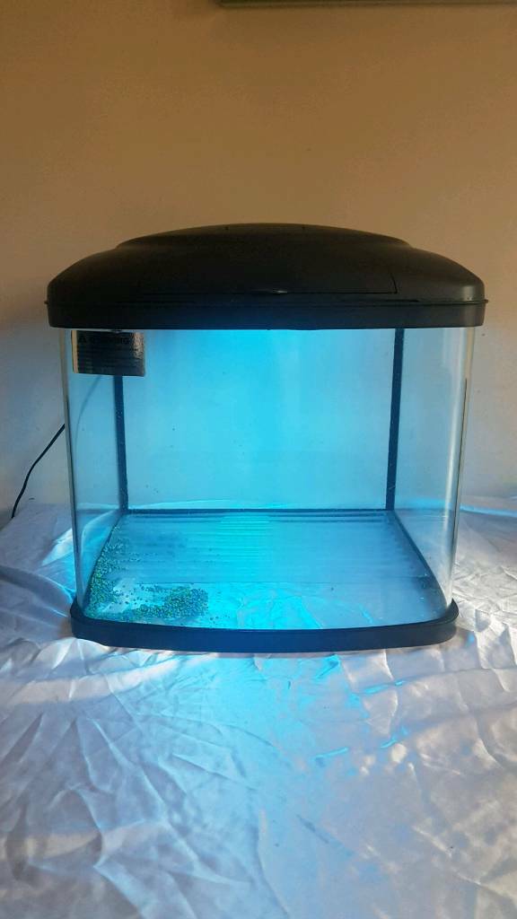 Fishbox fish tank 48l in Lincoln, Lincolnshire Gumtree