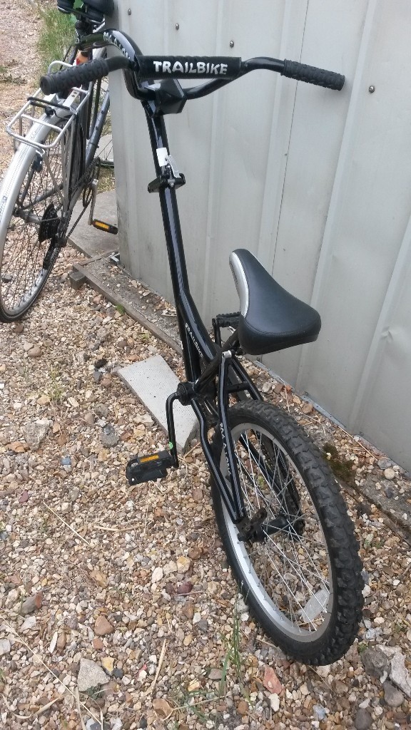 Tag Along Bike Trailer in Cambridge, Cambridgeshire Gumtree