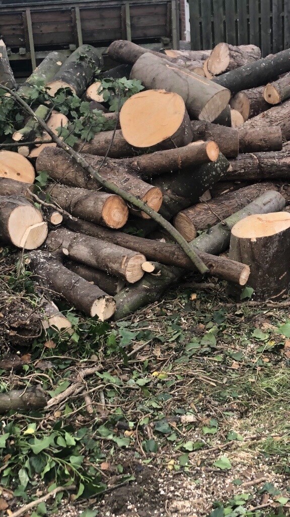 Ash firewood for sale in Halfway, South Yorkshire Gumtree