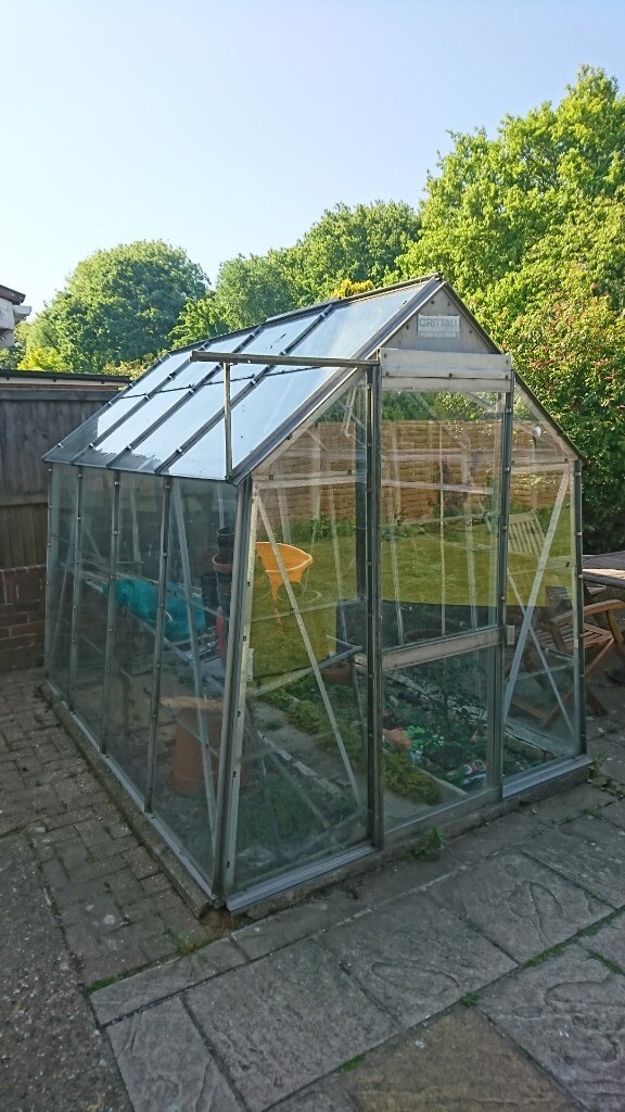 Critall Greenhouse second hand in Canterbury, Kent Gumtree
