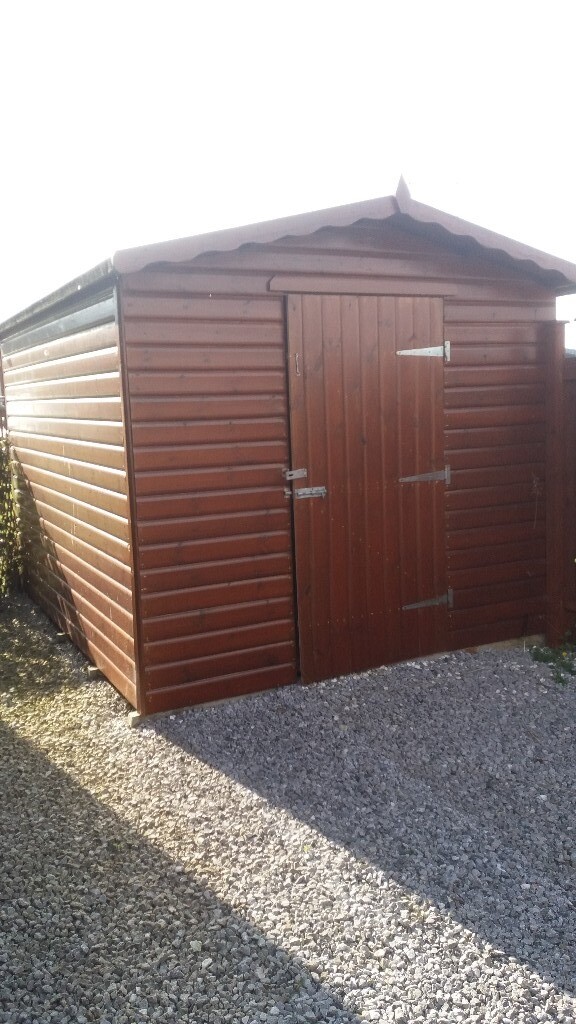 10x8 tongue and groove shed. | in Hull, East Yorkshire 