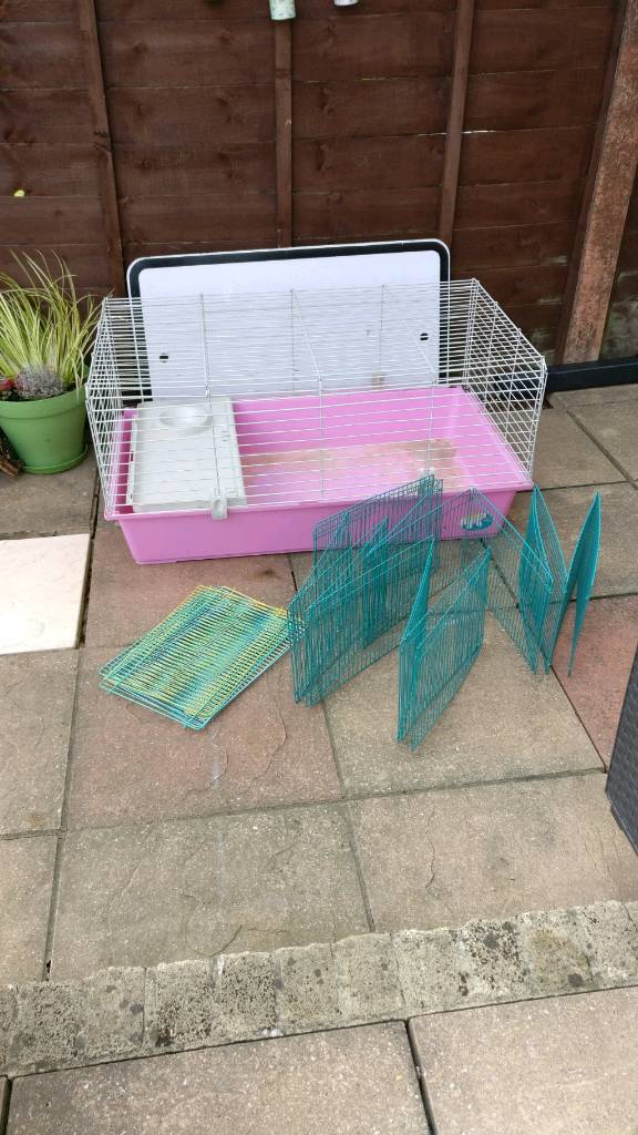 Guinea pig cage and play pen run in Fareham, Hampshire Gumtree